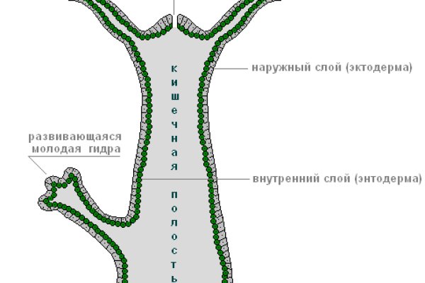 Кракен актуальное зеркало 2kmp