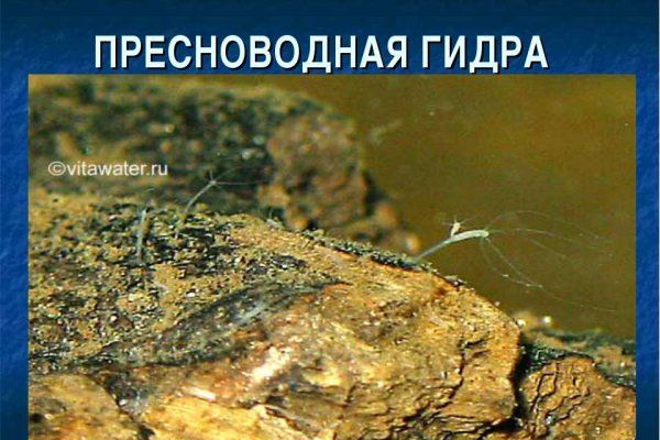 Кракен перейти