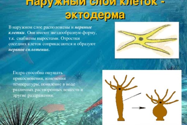 Kraken зеркало kr2web in